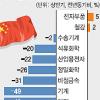상반기 對중국수출 양극화