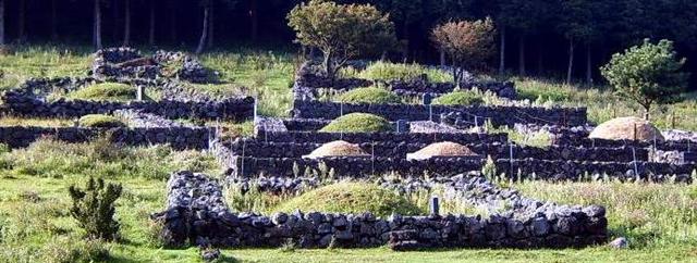 깔끔하게 벌초가 된 제주 중산지역의 가족묘 풍경. 묘지를 반듯하게 정리하고 동물이 훼손하지 못하도록 묘 주변에 산담(돌담)을 쌓아 놓았다.