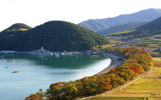 경남 남해군 물건마을의 천연자원인 물건방조어부림. 환상적인 경관으로 관광객 유치에 도움을 주는 마을의 대표 브랜드이다.  남해군 제공