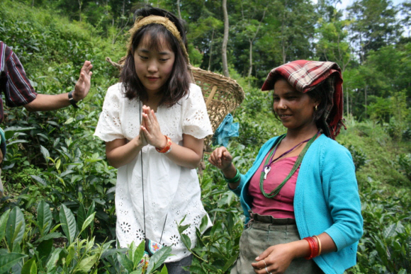 아름다운가게가 꾸린 ‘커피특공대’ 1기 회원인 상명대 이해수(왼쪽·23)씨가 공정무역 물품을 생산하는 네팔의 홍차 생산지를 찾아 현지 관계자의 설명을 들으며 차밭을 둘러보고 있다. 아름다운 가게 제공