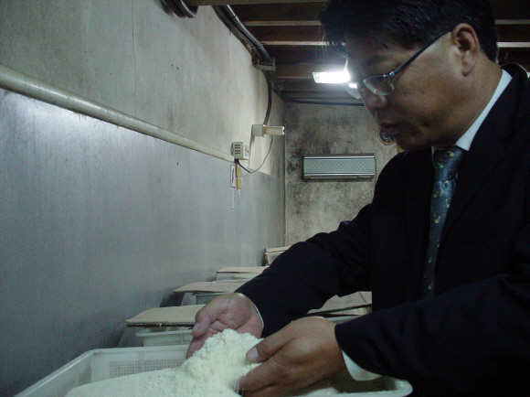 종균실에서 배양 중인 백국균(막걸리를 발효시키는 미생물)을 살펴보고 있는 이규행 사장.