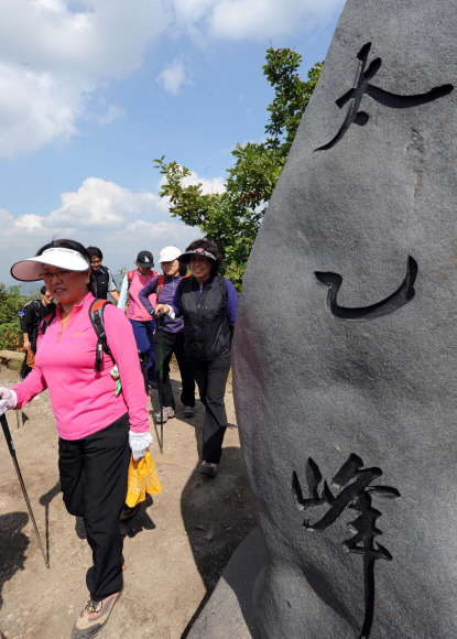 수리산 정상으로 가는 길가에 핀 코스모스가 가을 산행의 정취를 더하고 있다. 