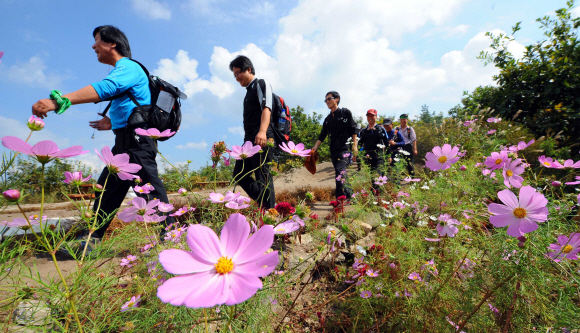 수리산 정상 태을봉은 산세가 부드러워 여성도 쉽게 오른다.