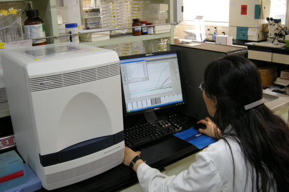 6일 서울시 보건환경연구원 바이러스검사팀 연구원이 RT-PCR 장비로 신종플루 확진 여부를 확인하고 있다.  서울시 보건환경연구원 제공