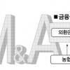 ‘은행 몸 불리기’ 내년 빅뱅 온다