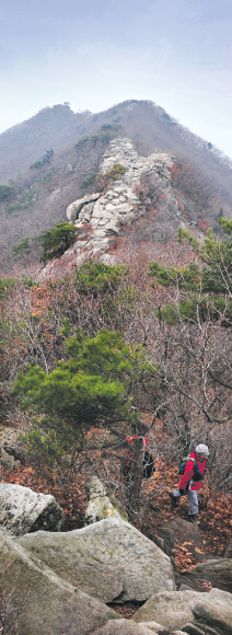 강화도에 위치한 마니산은 그다지 높지 않아 수도권 시민들이 즐겨 찾는 곳이다. 하산하는 등산객의 발걸음이 마니산의 기운을 받아서인지 가볍다.  이언탁기자 utl@seoul.co.kr