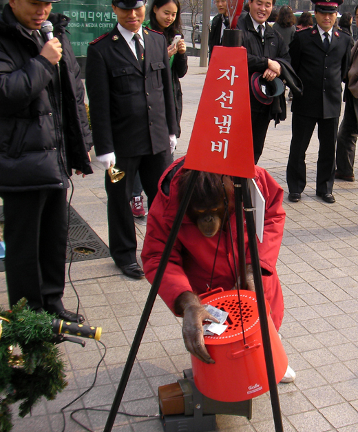 오랑우탄 ‘오랑이’가 1일 오전 서울 청계광장 앞에서 구세군 자선냄비 모금활동을 하고 있다. 인터넷서울신문 맹수열기자 guns@seoul.co.kr