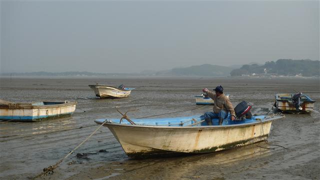 6일 충남 태안군 소원면 의항리에서 30년간 굴을 양식해온 김진곤(67)씨가 어선에 앉아 양식장이 있던 신두리 앞바다를 가리키고 있다. 그는 “무허가라 피해 보상금을 받을 수 있을지 모르겠다.”고 걱정했다.