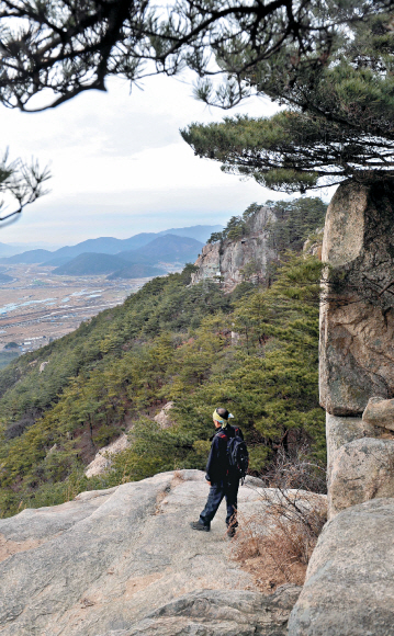 경북 경주 남산은 신라의 흥망성쇠를 묵묵하게 지켜봤다. 신라인과 호흡을 같이하다 보니 ‘노천박물관’이라고 불릴 정도로 많은 문화유적이 남아 있어 산 전체가 사적 311호로 지정됐다. 한 등산객이 주봉인 금오봉에 올라 상념에 젖어 경주시내를 내려다보고 있다.  경주 류재림기자 jawoolim@seoul.co.kr