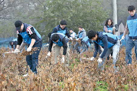 애경 사회봉사단원들이 경기 안양천에서 물길청소와 위해식물 제거 작업에 땀을 흘리고 있다. 애경 제공