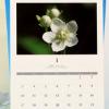 박용성회장 야생화 달력 제작