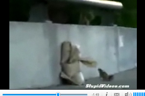 해당 동영상 화면 캡처