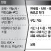 마일리지로 제휴항공사 표 구입