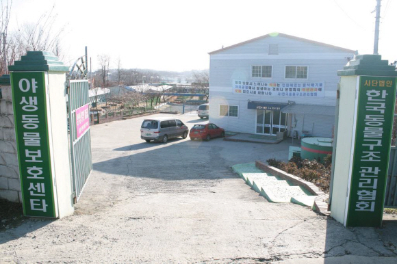 서울과 수도권의 버려진 애완동물이 수용되는 경기 양주시 한국동물구조관리협회. 이곳에서 유기견이 재입양되거나 안락사 된다.