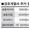 “금호 구조조정 미흡” 냉담한 채권단