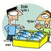 생선상자 2㎝ 때문에 목포항 시끌