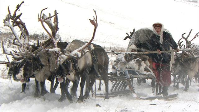 시베리아 북극권에 사는 코미족이 순록 썰매를 몰고 있다. 내셔널지오그래픽채널 제공