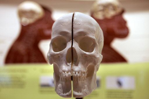 미국 워싱턴에 위치한 스미소니언 국립자연사박물관에 2100만 달러가 투입된 인류진화관이 17일 문을 열었다. 워싱턴 AP 연합뉴스