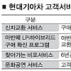 현대차 서비스 국내 확대 적용