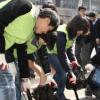 강남구 기초질서 지키기 확대