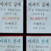 [맥 못추는 주택시장] 거품붕괴 직전 vs 단순 가격조정