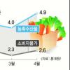 채소 등 신선식품 물가 고공행진