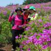 [진우석의 걷기좋은 산길] (67) 장흥 제암산 철쭉평원