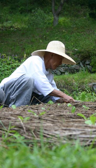 소박한 삶을 사랑했던 법정스님은 산골 오두막에서 직접 밭을 가는 일을 무척 즐겼다. MBC 제공 