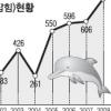 고래잡이 24년만에 허용되나