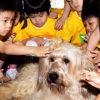 토종견 삽살개 세계화 추진