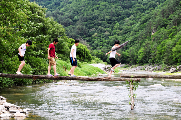 노추산 ‘치유의 숲’ 초입부터 시작되는 돌탑길. 25년 동안 이어진 ‘탑돌이 할머니’의 정성이 오롯이 전해진다.