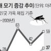 여름밤 불청객 모기 어디갔나
