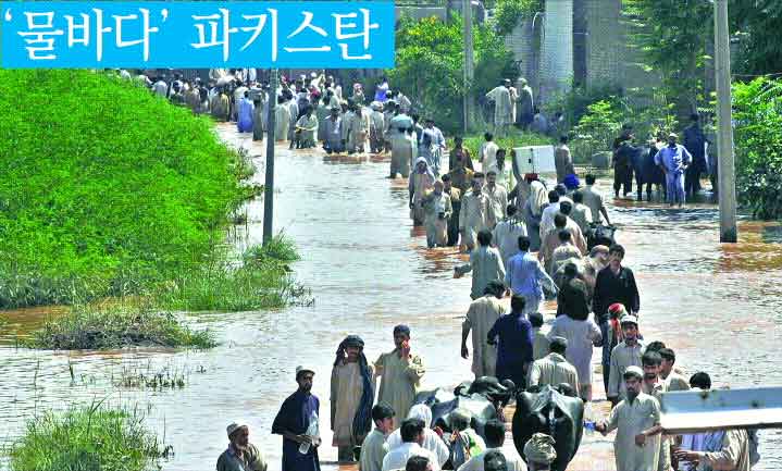 폭우로 인한 홍수로 최소 1100명에 이르는 사망자가 발생한 파키스탄 북서부 지역의 나우셰라에서 31일 이재민들이 무릎까지 물이 차오른 도로를 빠져나가고 있다.  나우셰라 AFP 연합뉴스