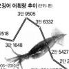 동해서 사라지는 오징어