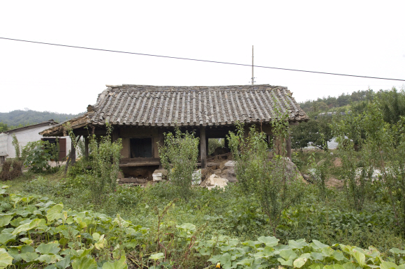 이육사 등 독립운동가를 배출한 경북 영천의 백학학원이 있던 자리. 관리가 제대로 되지 않아 현재는 붕괴직전의 상태다.