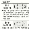 [프로축구] 한상운 해트트릭… 부산 6강 희망 살렸다