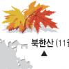 올 단풍 늦지만 색깔 곱다