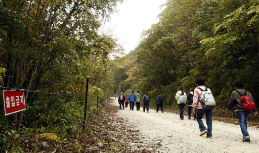 한로인 8일 강원 양구 주민들이 민간인 출입통제선 내 내금강 가던 옛길을 따라 걷고 있다.양구군은 지역축제인 양록제를 맞아 주민 2천여명이 참가한 가운데 동면 월운리 비득 고개를 출발해 두타연에 이르는 9㎞ 구간에서 ‘통일기원 등반대회’를 개최했다. 연합뉴스