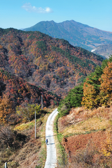 한 도보꾼이 세진대로 향하는 둘레길을 걷고 있다.