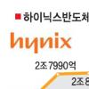 하이닉스 새주인찾기 장기화 가능성