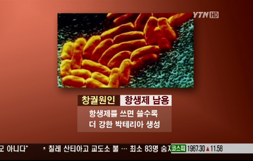 YTN 뉴스 화면 캡처