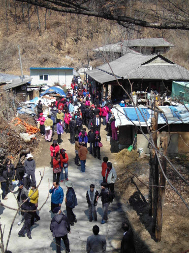 구제역, ‘워낭소리’ 봉화 산정마을 덮치나 | 서울신문