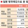 日 신방위계획대강 승인