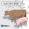 방역망 왜 뚫렸나