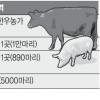 강화·김포·포천·연천 올 두 번째 ‘날벼락’