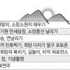 “신묘년 해맞이 도심서 즐기세요”