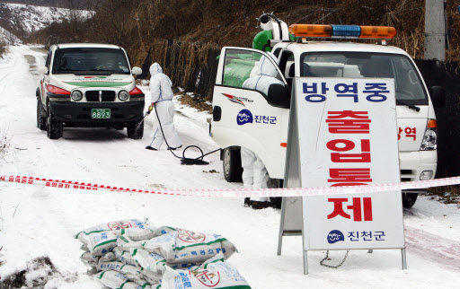 충북 충주와 괴산에서 구제역이 발생한 데 이어 4일 진천군 문백면의 한 돼지농가에서도 구제역 의심신고가 접수되자 군 직원 등이 방역 작업을 벌이고 있다. 연합뉴스