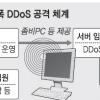 해커 고용해 디도스 공격 ‘사이버 조폭’