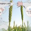 “10년후 지구촌 5명 중 1명 밥 굶는다”
