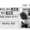 “알몸 졸업식 NO… 건전한 축제로”